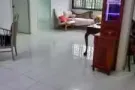 勿洛乌美靠近工业区空调主人房四人间女搭房$280，人少可报地址