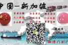 广州集运货物到新加坡 良心物流  安全便捷快速