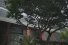 钱多   速来吧    错过就不在了+wx431033969