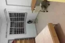 乌兰图书馆对面， 单间出租， 一人或两人。 走路7分钟（十月底入住，帮你搬家）