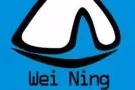 中国~新家坡双向专线物流