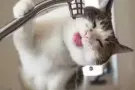 姐姐看这里