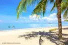 ***急招美甲师！室内设计师！麻辣香锅厨师！数字营销人才！******