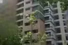 招一位女搭房