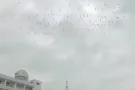 普通间出租