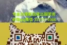 找工作到新加坡劳务 费率低 签证快 信誉好 咨询QQ3357171668
