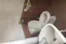 淡滨尼22街诚招女搭房 