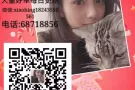 新加坡高薪工作好单在这里详情加微xiaobing18243550561