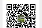 3小时800新币，男找女，刚刚单身，女生进来，谢绝小姐