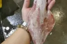 吉祥莲心食品 --- 新鲜海产 平 ，靓 ， 正 ， 新鲜