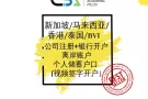 新加坡+马来西亚+香港+BVI注册公司+视频开户(多种货币无限额/高效率) 