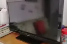 因要回国了，家里有一些东西要转让，
