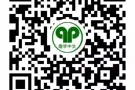 专业教师中小学及成人华文课程