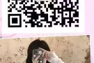 汉生国际   新加坡劳务在线咨询    详情加微信；liuxue201306