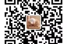 NY-A144--WP国内司机（F）
