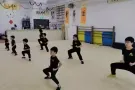 ShaoLin Club 新加坡少林俱乐部