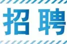 聘请文员admin