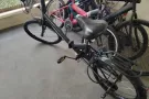 因要回国自行车售卖