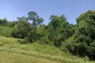 武吉巴督/武吉甘柏家庭教室