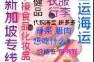 中国寄食品到新加坡