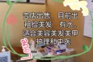 外国人投资商业店铺无额外印花税
