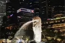 新加坡大量招聘国内司机，3号，4号！  咨询微信QQ：1687989069