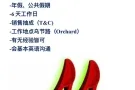 招聘销售人员