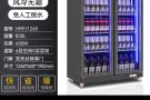 新款双开除雾门三色灯冰柜