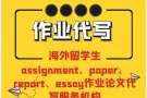 ✍推荐✍老牌狮城NO.1✍论文代写【最权威!最优惠】Assignment/Essay/Quiz/Exam辅导助考✍