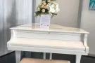 三巴旺普通房出租