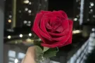 求租单间