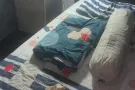 纹理  阳台