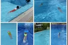 游泳教练，游泳成人速成， 游泳教学，swmimming coach