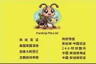 新加坡牛车水蚂蚁签证中心招聘兼职 无身份要求