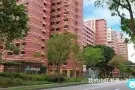 淡滨尼 大牌842H 大普通房