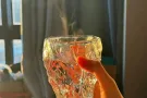 红姐专业家庭清洁钟点工
