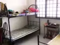 马西岭附近诚招男哒房，三人间，打呼噜勿扰！