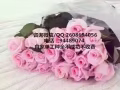 本公司工種齊全，只要你想不到沒有我們做不到，QQ2608694056