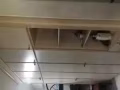 男搭房三人間