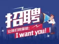 【】新加坡四号司机专场招聘，零中介费特价收费工作，微信：2444716166~~