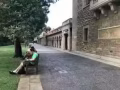 澳洲八大名校之一，西澳大学直通车!!!