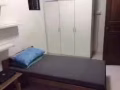 巴西立靠近洛阳两人间招一男搭房