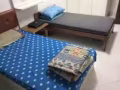 巴西立靠近洛陽兩人間招一男搭房