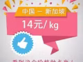 中國---新加坡2天到