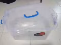 日常用品