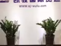 海运新加坡双清门到门，价格低，时效快，清关能力强，有货可以找我
