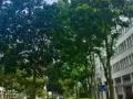 新加坡公司 招聘 业务员