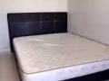 碧山11街 单房出租
