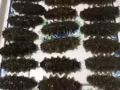出售大连海参，海鲜干类