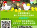 是否有想过用无聊空闲的时间在家上网兼职赚外快吗？欢迎免费询问